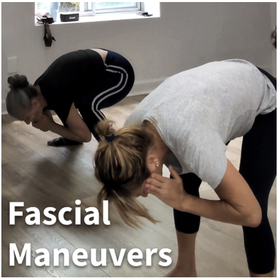 Fascial Fitness 30 Lifestyle Membership